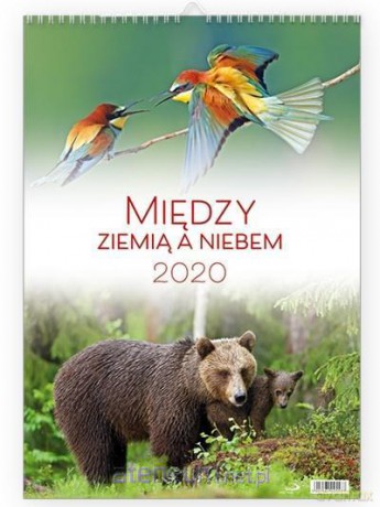 Kalendarz 2020 Ścienny - Między ziemią a niebem [KALENDARZ]