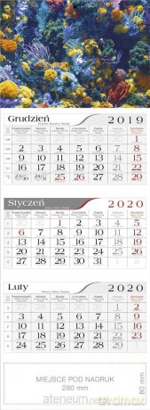 Kalendarz 2020 Trójdzielny Akwarium [KALENDARZ]