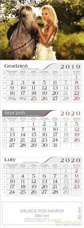 Kalendarz 2020 Trójdzielny Amazonka [KALENDARZ]