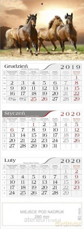 Kalendarz 2020 Trójdzielny Konie [KALENDARZ]