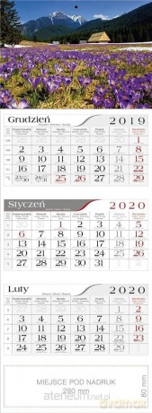 Kalendarz 2020 Trójdzielny Krokusy [KALENDARZ]
