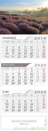 Kalendarz 2020 Trójdzielny Lawenda [KALENDARZ]
