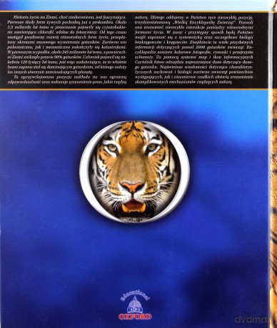 Wielka Encyklopedia Zwierząt 22 Ryby / Oceaniczne podróże: Podwodne skarby Ameryki 1 [KSIĄŻKA]+[DVD]