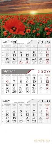 Kalendarz 2020 Trójdzielny Makowa łąka [KALENDARZ]