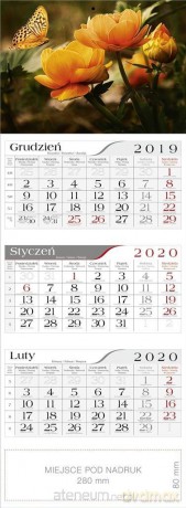 Kalendarz 2020 Trójdzielny Motyl [KALENDARZ]