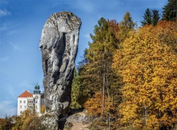Kalendarz 2020 Trójdzielny Ojcowski Park [KALENDARZ]