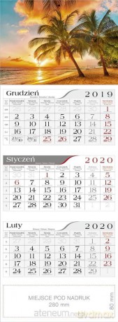 Kalendarz 2020 Trójdzielny Pod Palmami [KALENDARZ]