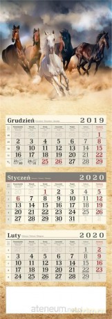 Kalendarz 2020 Trójdzielny Poster [KALENDARZ]