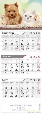 Kalendarz 2020 Trójdzielny Przyjaciele [KALENDARZ]