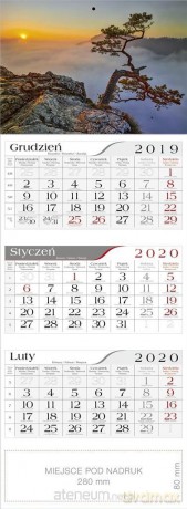 Kalendarz 2020 Trójdzielny Sosna [KALENDARZ]