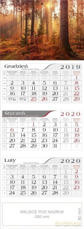 Kalendarz 2020 Trójdzielny W lesie [KALENDARZ]