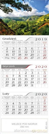 Kalendarz 2020 Trójdzielny Włoskie Cyprysy [KALENDARZ]