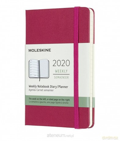 Kalendarz 2020 tygodniowy 12MP. Snappy pink [KALENDARZ]