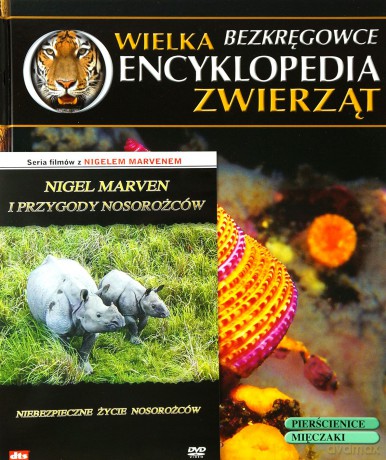 Wielka Encyklopedia Zwierząt 28 Bezkręgowce / Niebezpieczne życie nosorożców [książka]+[DVD]