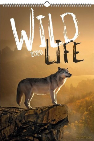 Kalendarz 2020 Wieloplanszowy Wild life [KALENDARZ]