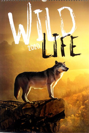 Kalendarz 2020 Wieloplanszowy Wild life [KALENDARZ]
