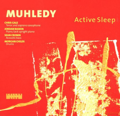 Muhledy: Active Sleep [CD]