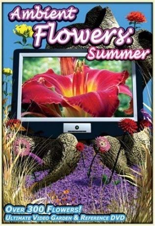 Ambient Flowers Summer [DVD]