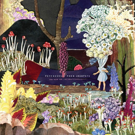 Psychedelic Porn Crumpets: And Now For The Whatchamacallit [Winyl]