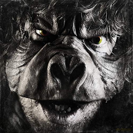 Malachai: Beyond Ugly [CD]