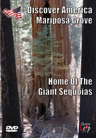 Discover America Mariposa Grove [DVD]