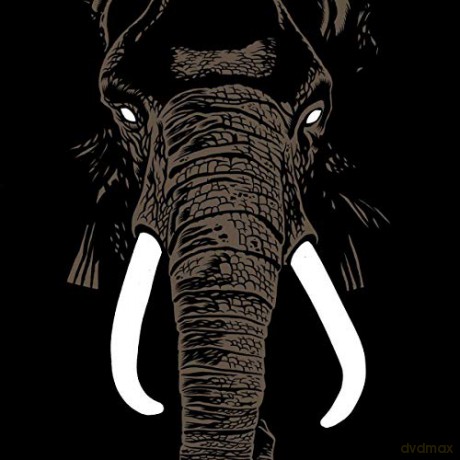 Palm Unit: Dont Buy Ivory Anymore! [CD]
