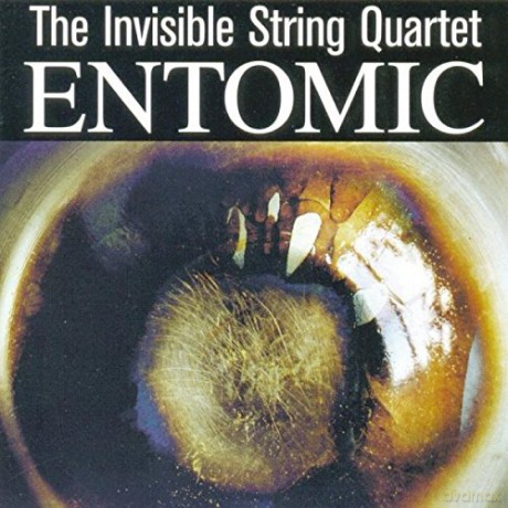 Invisible String Quartet: Entomic [CD]