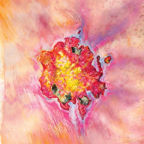 Weeping Sores: False Confession [CD]