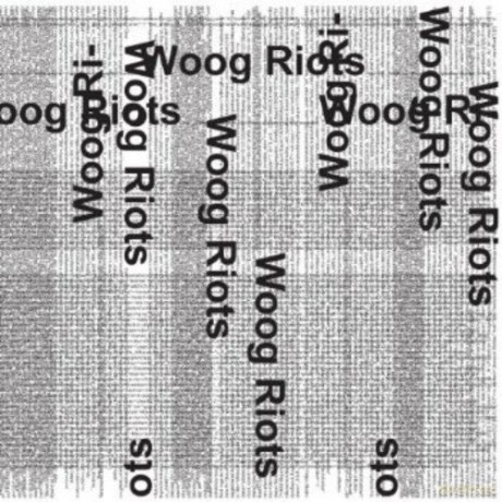 Woog Riots: From Lofi To Disco [CD]