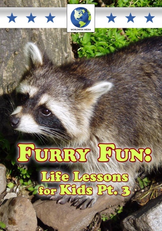 Furry Fun Life Lessons For Kids Pt 3 [DVD]