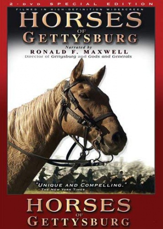 Horses Of Gettysburg [2DVD]