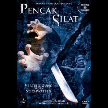 Pencak Silat Verteidigung Gegen Stich [DVD]