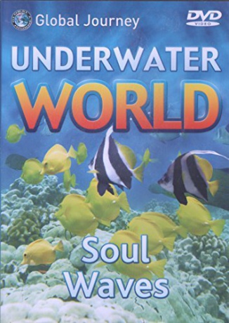 Soul Waves [DVD]