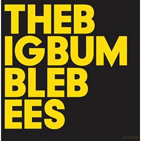 Big Bumble Bees: The Big Bumble Bees [CD]