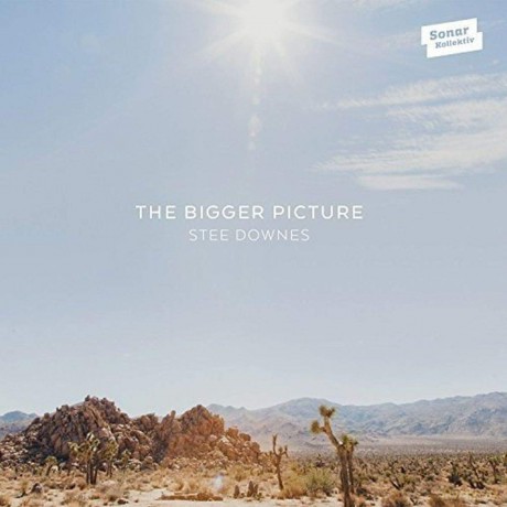Stee Downes: The Bigger Picture [CD]