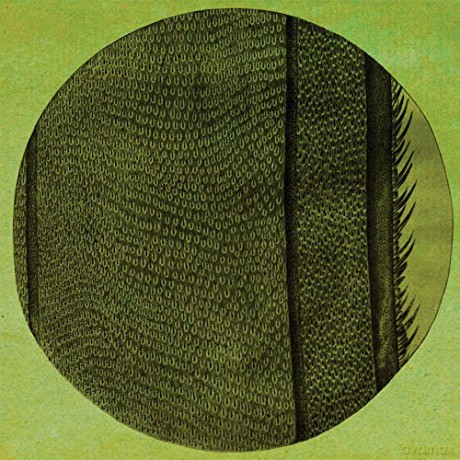 Micah Blue Smaldone: The Ring Of The Rise [CD]