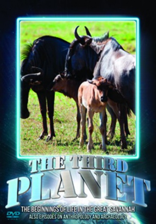 Third Planet The Beginnings Of Life In [DVD]