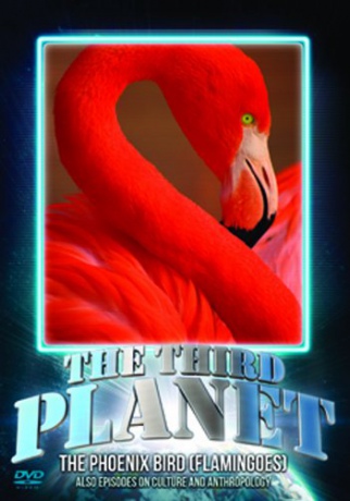Third Planet The Phoenix Bird Flamingoes [DVD]