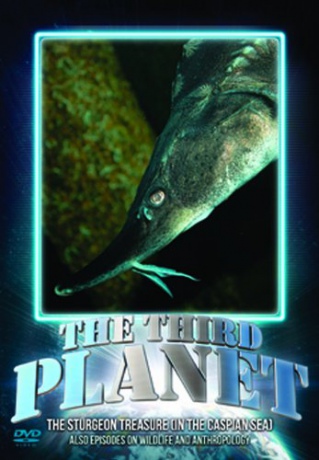 Third Planet The Sturgeon Treasure In Th [DVD]
