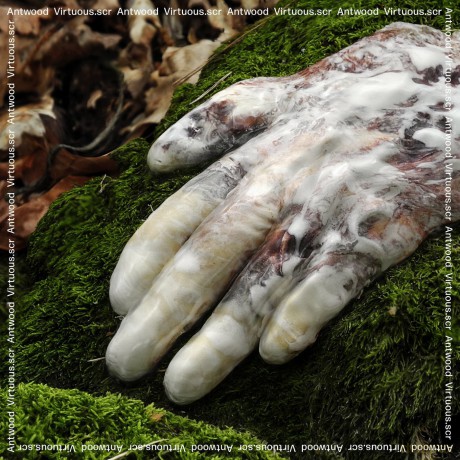 Antwood: Virtuousscr [CD]
