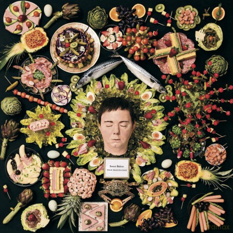 Sweet Baboo: Wild Imagination [CD]