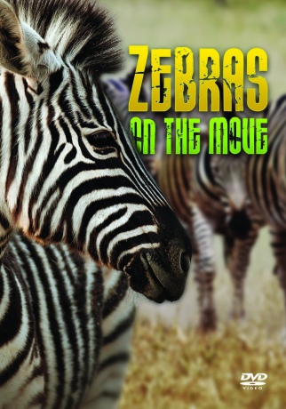 Zebras On The Move [DVD]