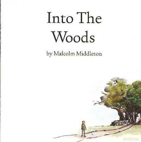 Malcolm Middleton: Into The Woods [CD]