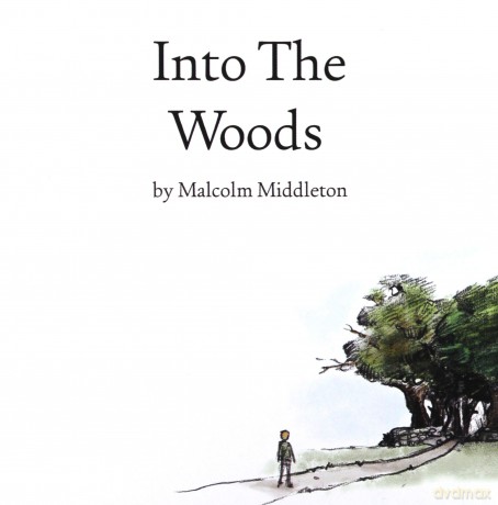 Malcolm Middleton: Into The Woods [CD]
