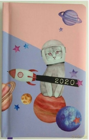 Kalendarz 2020 funny animals A6 kot astronauta tns 35949 [KALENDARZ]