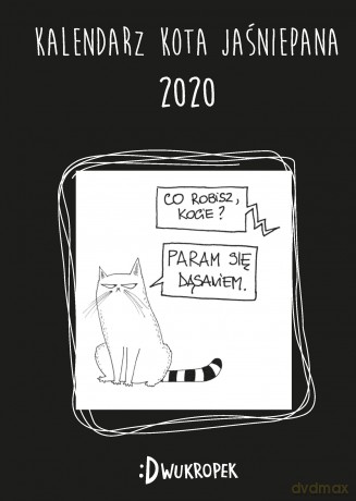Kalendarz 2020 książkowy kota jaśniepana - Magdalena Gałęzia [KALENDARZ]