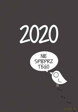 Kalendarz 2020 ptaszek Staszek - Ptaszek Staszek [KALENDARZ]