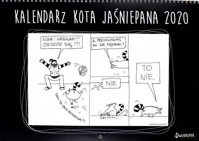 Kalendarz 2020 ścienny kota jaśniepana - Magdalena Gałęzia [KALENDARZ]