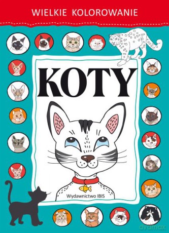 Koty wielkie kolorowanie [KSIĄŻKA]
