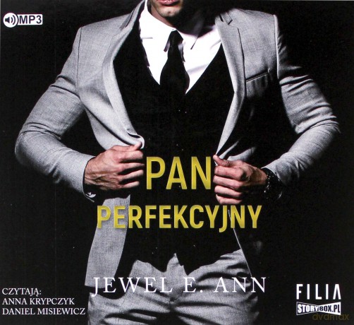 Pan perfekcyjny - Jewel E. Ann [AUDIOBOOK]